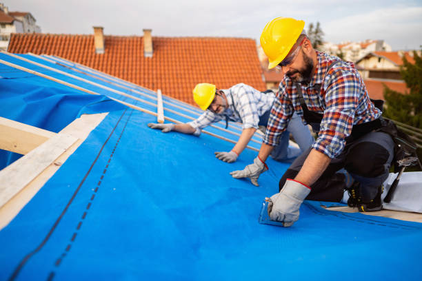 Best Local Roofing Companies  in Mcmurray, PA